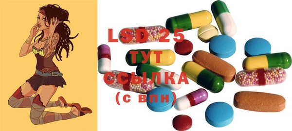стафф Ельня