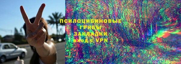 винт Болотное