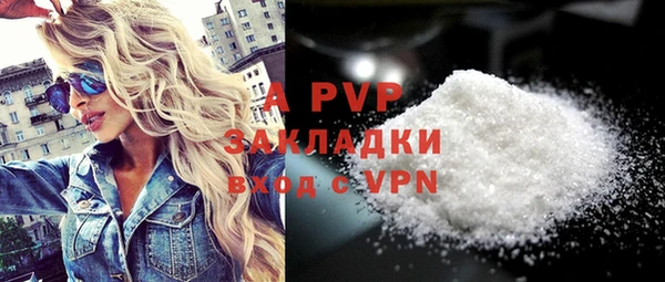 винт Болотное