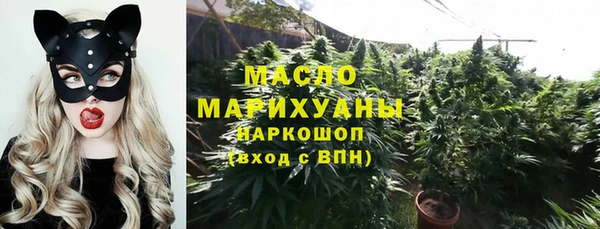 винт Болотное