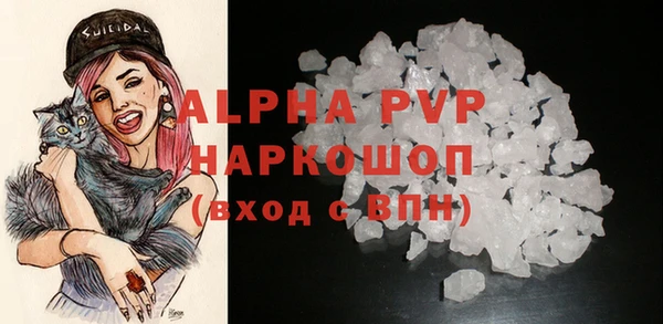 винт Болотное