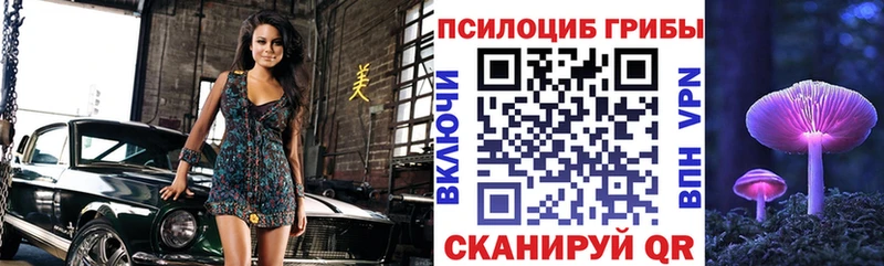 Галлюциногенные грибы Cubensis  MEGA ССЫЛКА  Каменск-Шахтинский  как найти закладки 